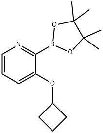 3-(Cyclobutoxy)pyridine-2-boronic acid pinacol ester Struktur