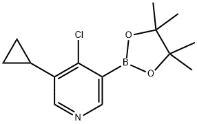 5-(cyclopropyl)-4-chloropyridine-3-boronic acid pinacol ester Struktur