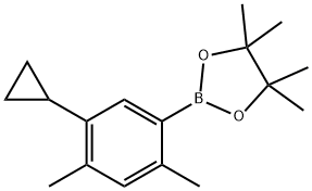 2,4-Dimethyl-5-cyclopropylphenylboronic acid pinacol ester Struktur