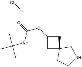 tert-butyl N-trans-6-azaspiro[3.4]octan-2-yl carbamate hydrochloride Struktur