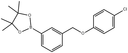 2-(3-((4-chlorophenoxy)methyl)phenyl)-4,4,5,5-tetramethyl-1,3,2-dioxaborolane Struktur