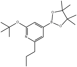 2-(tert-butoxy)-6-propyl-4-(4,4,5,5-tetramethyl-1,3,2-dioxaborolan-2-yl)pyridine Struktur