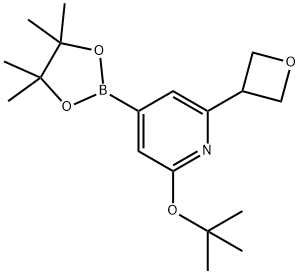 2-(tert-butoxy)-6-(oxetan-3-yl)-4-(4,4,5,5-tetramethyl-1,3,2-dioxaborolan-2-yl)pyridine Struktur