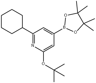 2-(tert-butoxy)-6-cyclohexyl-4-(4,4,5,5-tetramethyl-1,3,2-dioxaborolan-2-yl)pyridine Struktur