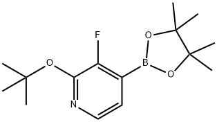 2-(tert-butoxy)-3-fluoro-4-(4,4,5,5-tetramethyl-1,3,2-dioxaborolan-2-yl)pyridine Struktur