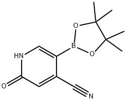 2-hydroxy-5-(4,4,5,5-tetramethyl-1,3,2-dioxaborolan-2-yl)isonicotinonitrile Struktur