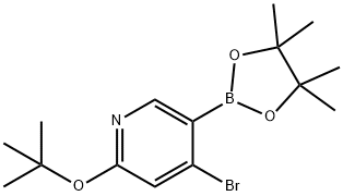 4-bromo-2-(tert-butoxy)-5-(4,4,5,5-tetramethyl-1,3,2-dioxaborolan-2-yl)pyridine Struktur