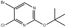 4-Chloro-5-bromo-2-(tert-butoxy)pyrimidine Struktur