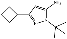 1-Tert-Butyl-3-Cyclobutyl-1H-pyrazol-5-amine Struktur