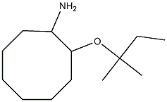 2-[(2-methylbutan-2-yl)oxy]cyclooctan-1-amine Struktur