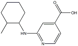 2-[(2-methylcyclohexyl)amino]pyridine-4-carboxylic acid Struktur