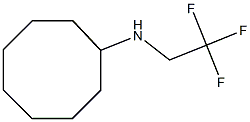 N-(2,2,2-trifluoroethyl)cyclooctanamine Struktur