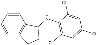 N-(2,4,6-trichlorophenyl)-2,3-dihydro-1H-inden-1-amine Struktur