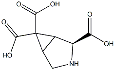 6,6-dicarboxy-3,4-methano-L-proline Struktur