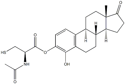 4-hydroxyestrone N-acetylcysteine Struktur