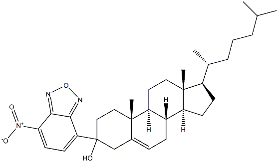 7-nitrobenz-2-oxa-1,3-diazol-4-ylcholesterol Struktur