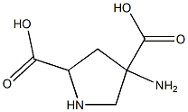 4-aminopyrrolidine-2,4-dicarboxylic acid Struktur