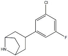 3-(3-chloro-5-fluorophenyl)-8-azabicyclo[3.2.1]octane Struktur