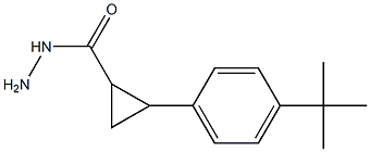 2-(4-TERT-BUTYLPHENYL)CYCLOPROPANECARBOHYDRAZIDE Struktur