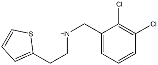 [(2,3-dichlorophenyl)methyl][2-(thiophen-2-yl)ethyl]amine Struktur