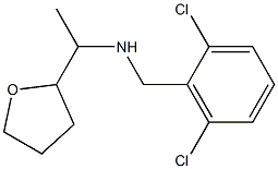 [(2,6-dichlorophenyl)methyl][1-(oxolan-2-yl)ethyl]amine Struktur