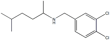 [(3,4-dichlorophenyl)methyl](5-methylhexan-2-yl)amine Struktur