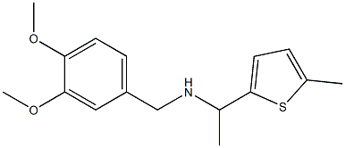 [(3,4-dimethoxyphenyl)methyl][1-(5-methylthiophen-2-yl)ethyl]amine Struktur