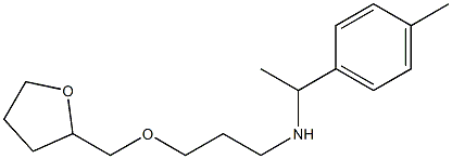 [1-(4-methylphenyl)ethyl][3-(oxolan-2-ylmethoxy)propyl]amine Struktur