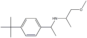 [1-(4-tert-butylphenyl)ethyl](1-methoxypropan-2-yl)amine Struktur