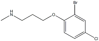 [3-(2-bromo-4-chlorophenoxy)propyl](methyl)amine Struktur