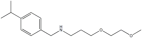 [3-(2-methoxyethoxy)propyl]({[4-(propan-2-yl)phenyl]methyl})amine Struktur