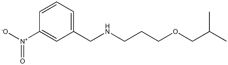 [3-(2-methylpropoxy)propyl][(3-nitrophenyl)methyl]amine Struktur