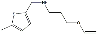 [3-(ethenyloxy)propyl][(5-methylthiophen-2-yl)methyl]amine Struktur