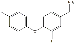 [4-(2,4-dimethylphenoxy)-3-fluorophenyl]methanamine Struktur