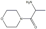 1-methyl-2-morpholin-4-yl-2-oxoethylamine Struktur