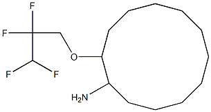 2-(2,2,3,3-tetrafluoropropoxy)cyclododecan-1-amine Struktur