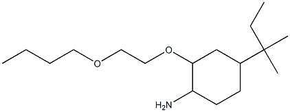 2-(2-butoxyethoxy)-4-(2-methylbutan-2-yl)cyclohexan-1-amine Struktur