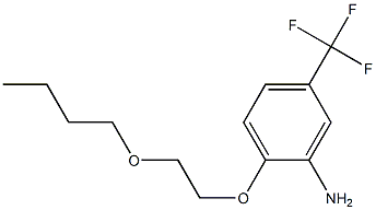 2-(2-butoxyethoxy)-5-(trifluoromethyl)aniline Struktur