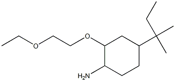 2-(2-ethoxyethoxy)-4-(2-methylbutan-2-yl)cyclohexan-1-amine Struktur