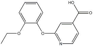 2-(2-ethoxyphenoxy)pyridine-4-carboxylic acid Struktur