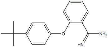 2-(4-tert-butylphenoxy)benzene-1-carboximidamide Struktur