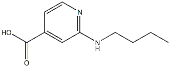 2-(butylamino)pyridine-4-carboxylic acid Struktur