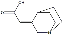 2-{1-azabicyclo[2.2.2]octan-3-ylidene}acetic acid Struktur