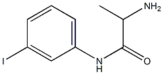 2-amino-N-(3-iodophenyl)propanamide Struktur