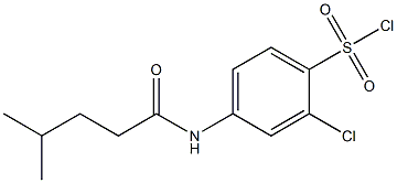 2-chloro-4-(4-methylpentanamido)benzene-1-sulfonyl chloride Struktur