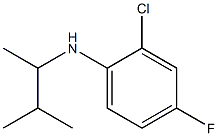 2-chloro-4-fluoro-N-(3-methylbutan-2-yl)aniline Struktur