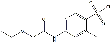 4-(2-ethoxyacetamido)-2-methylbenzene-1-sulfonyl chloride Struktur