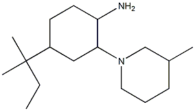 4-(2-methylbutan-2-yl)-2-(3-methylpiperidin-1-yl)cyclohexan-1-amine Struktur