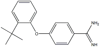 4-(2-tert-butylphenoxy)benzene-1-carboximidamide Struktur