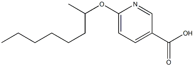 6-(octan-2-yloxy)pyridine-3-carboxylic acid Struktur